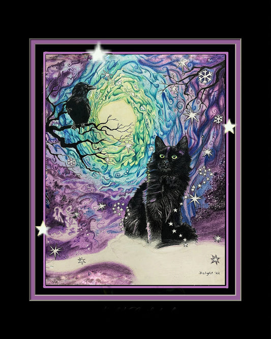 Midnight Companions